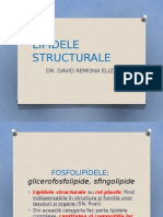 Lipidele Structurale