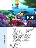 Filo Porifera PDF