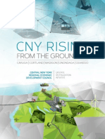 CNY Application To Upstate Revitalization Initiative