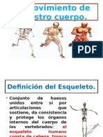Esqueleto y músculos: estructura y funcionalidad