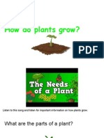 how do plants grow