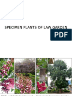 Specimen Plants Law Garden Guide