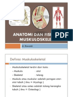 Anatomi Dan Fisiologi Muskuloskeletal