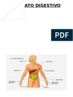 APARATO DIGESTIVO