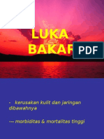 Luka Bakar Baru