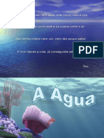 Ciclo Da Agua