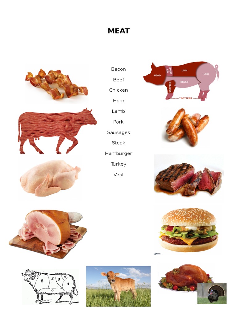 Meat Types Overview | PDF