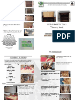 Folleto Desarrollo PDF