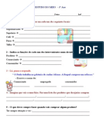 3 Ano 1º Avaliaçao Estudo Meio