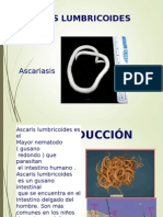 Ascaris Lumbricoides