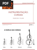 Instrumentação - Cordas