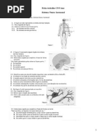 Ficha Trabalho CN 9 Ano Sistema Neuro Hormonal