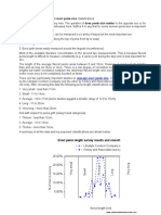 Average Male Penis Size and Erect Penis Size