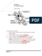 Latihan 2.5 Organisma Unisel Amoeba SP PDF