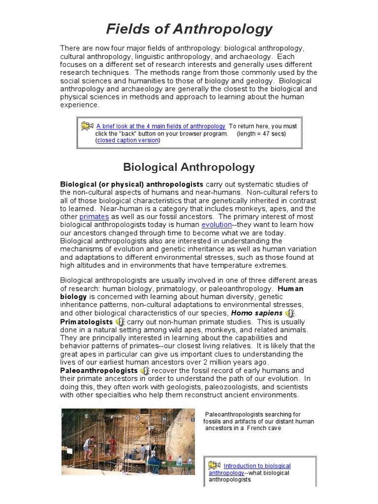 What Is Anthropology - Fields of Anthropology PDF | PDF | Archaeology ...
