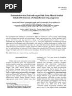 Download JURNAL_BIOLOGI_PAPUA2013 by saidyanz SN283833959 doc pdf