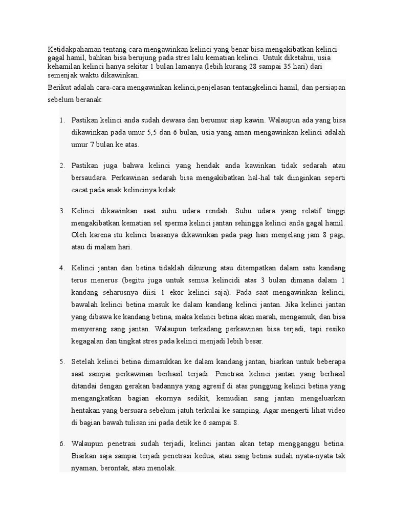 Kelinci Pdf