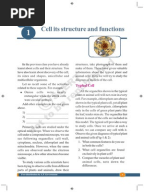 Cell Organelles Worksheet KEY | Organelle