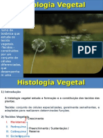 Histologia e Organologia Vegetal