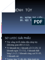 Benh Tuy - 2