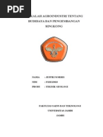 Download Makalah Agroindustri Tentang Budidaya Dan Pengembangan Singkong by Nadya Farah Kamilia SN283843026 doc pdf