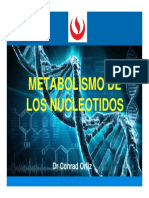 Semana 14A- Metabolsimo de Nucleotidos(2)