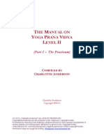 Prana Vidya Level 2