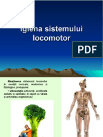 Igiena Sistemului Locomotor