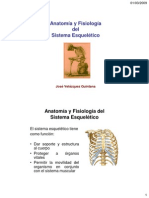 Sistema esquelético anatomía fisiología