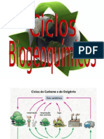 Ciclo Do Carbono