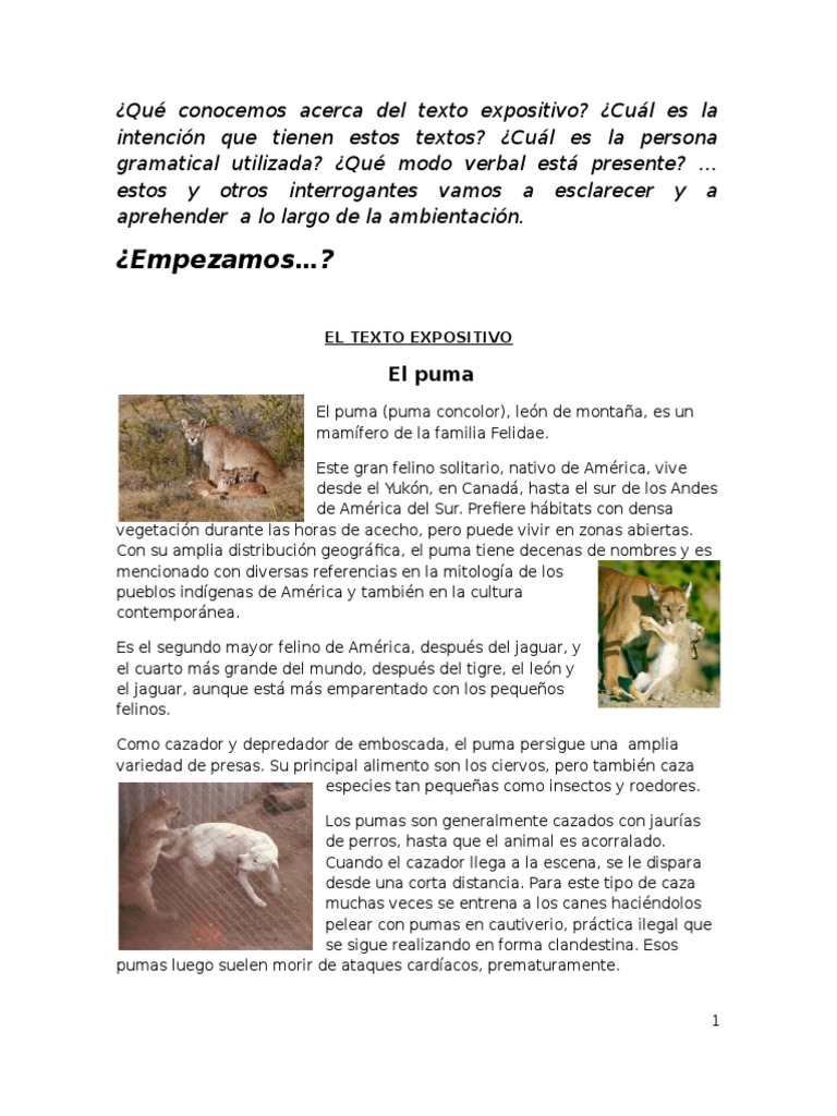 El Texto Expositivo | PDF | Puma | Lingüística