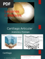Regla Canadiense y Criterios NEXUS para Lesiones de La Columna Cervical ...