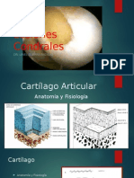 Lesiones condrales: anatomía, diagnóstico y tratamiento