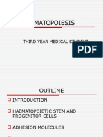 Hematopoiesis: Third Year Medical Student