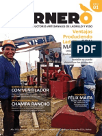 El Hornero 1 PDF