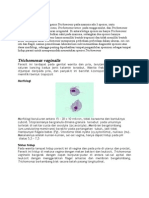 Trichomonas