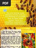 How Honey Is Made (Text Procedure)