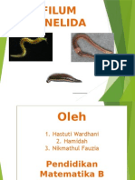 Annelida