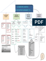 Mapa Comentario Texto Exp Arg