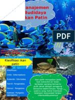 Budidaya Ikan Patin