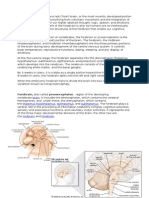 In The Anatomy of The Brain of Vertebrates
