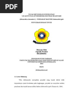 Download Uji aktivitas antibakteri buah pare by PRIONC SN283937176 doc pdf