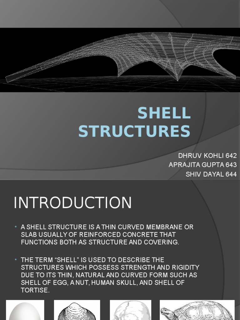 Shell Structures | PDF | Geometry | Building Engineering