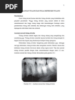 Download Kehilangan Tulang Dan Pola Destruksi Tulang by Ingrid Patricia SN283955290 doc pdf