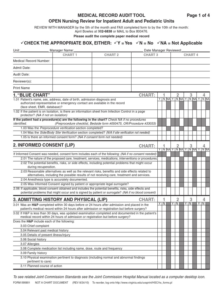 Home Health Chart Audit Tool