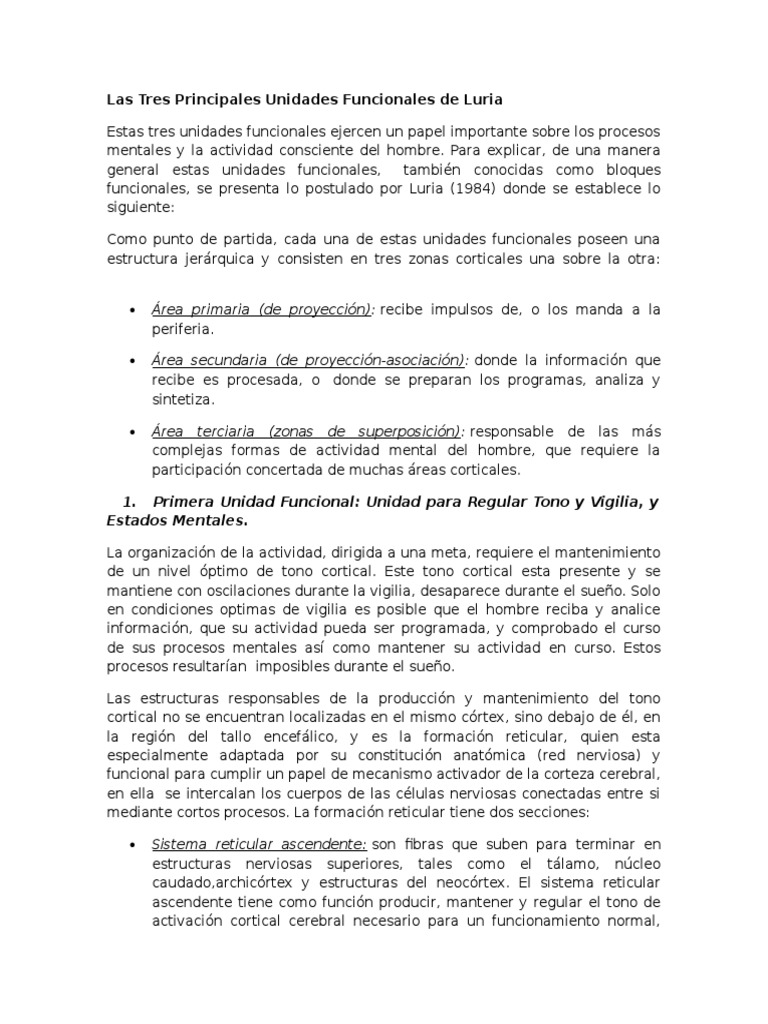 Las Tres Principales Unidades Funcionales de Luria | PDF | Corteza ...
