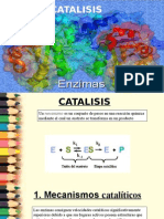 Bioquimica Catalsiis