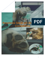 Sebenta Anestesia Geral em Pequenos Animais PDF