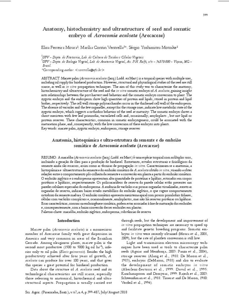 Anatomy and Ultrastructure of A. aculeata Seed | PDF | Seed ...