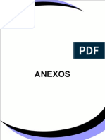 Anexos Briefing de La Agencia